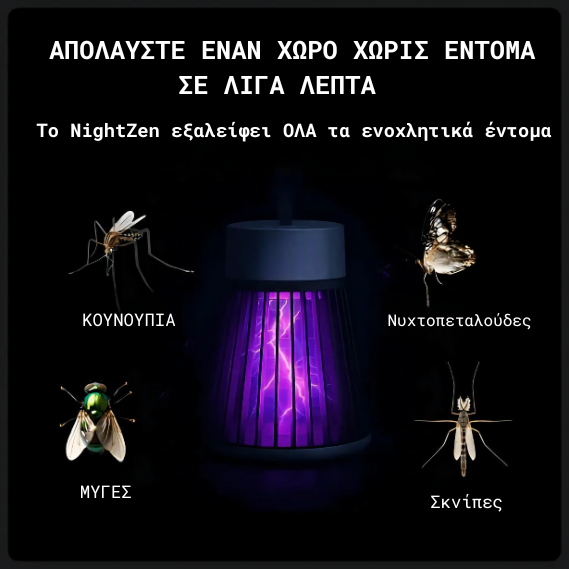 Πακέτο 2 Λαμπών NightZen™ 