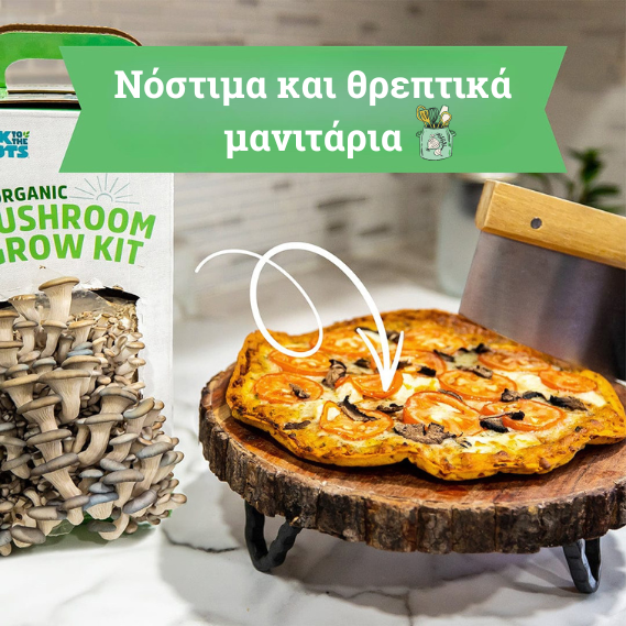 Σετ Καλλιέργειας Μανιταριών – Σοδειά στο Σπίτι σε 10 Ημέρες